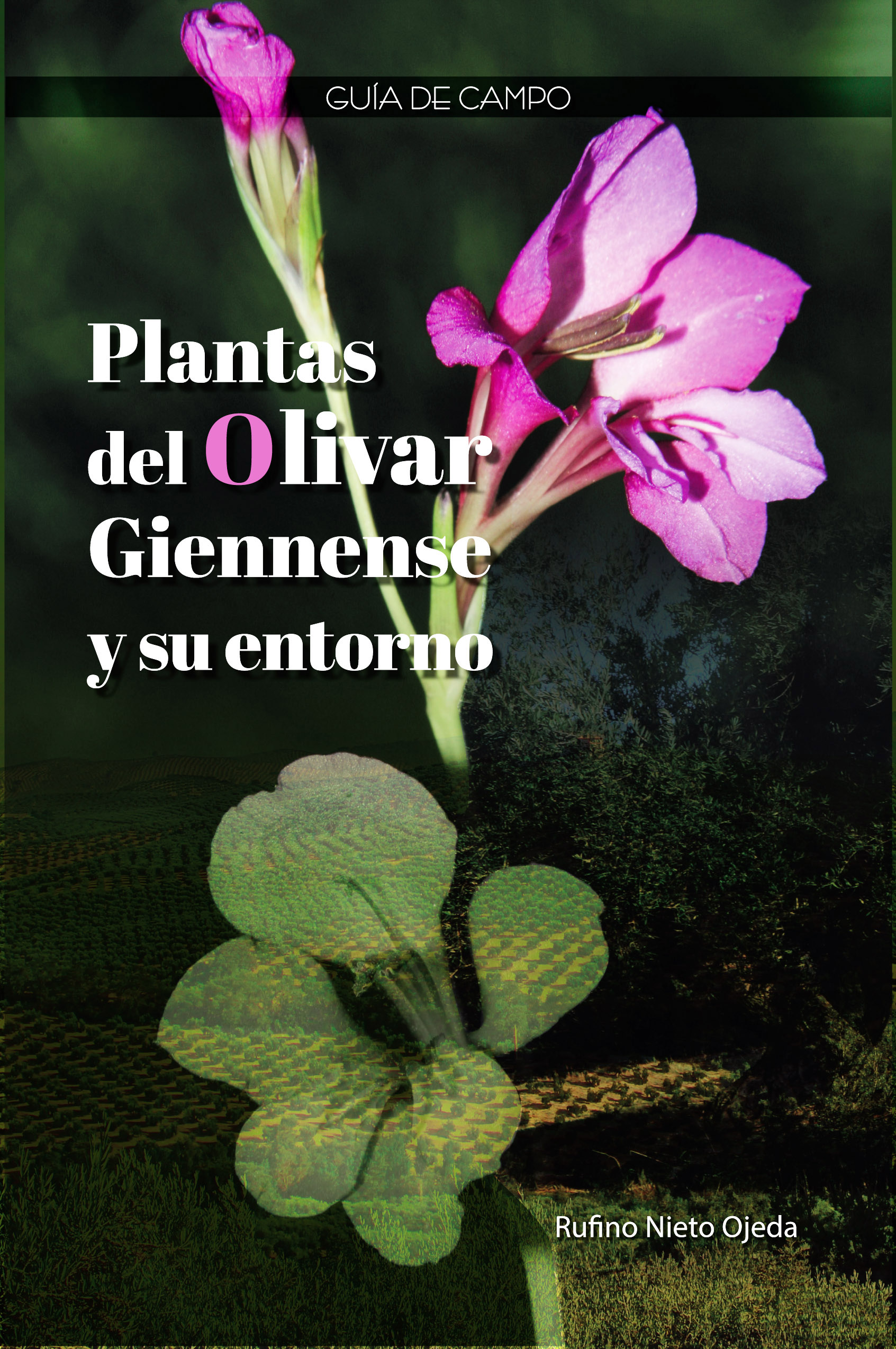 Plantas del olivar giennense y su entorno